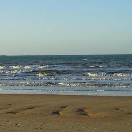 Apartment Ocean View Coastal Escape *