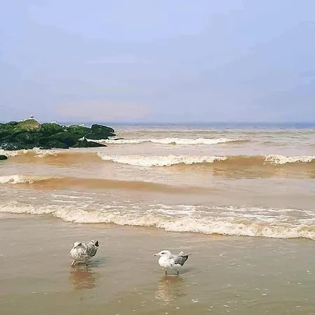 Ocean View Coastal Escape