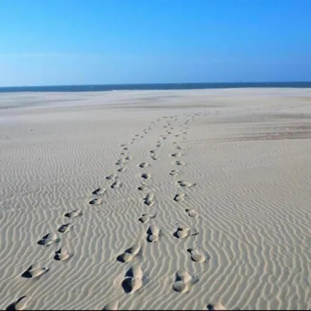 Ocean View Coastal Escape Nieuwpoort